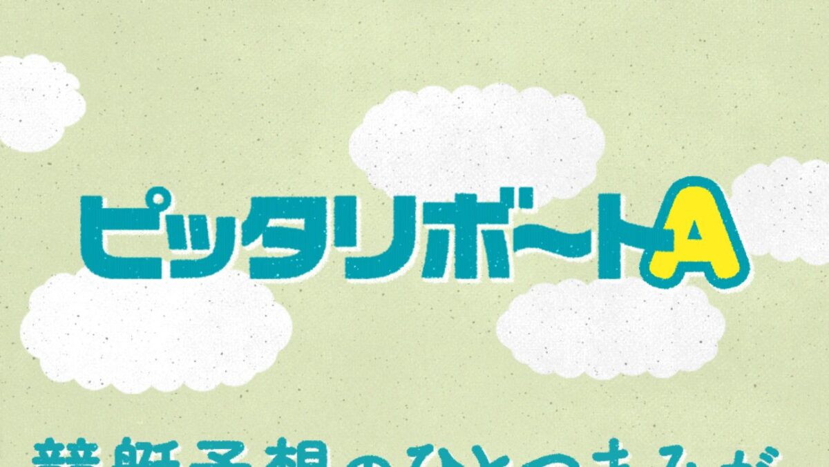 ピッタリボートAの公式サイト画面